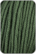 Worsted Merino Superwash Yarn — Fern (# 084)