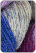 Huasco Sock Hand Painted Yarn — Inca Jay (# 1002)