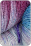 Huasco Sock Hand Painted Yarn — Andean Condor (# 1008)