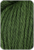 Prairie Spun DK Yarn — Cyprus Leaves (# 120)
