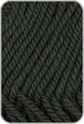 Ewe So Sporty Yarn — Forest Fern (# 53)