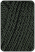 Wooly Worsted Yarn — Forest Fern (# 53)
