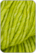 Worsted Yarn — Apple Green (# 011)