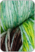 Huasco Sock Hand Painted Yarn — Amazonas (# 1020)
