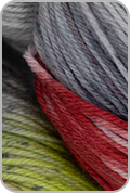 Huasco Sock Hand Painted Yarn — Plaza Cusco (# 1019)