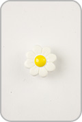 White Daisy Button