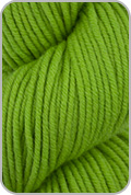 Simpliworsted Yarn — Grass Slipper (# 049)