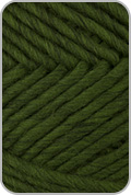 Lambs Pride Bulky Yarn — Kiwi (# 191)